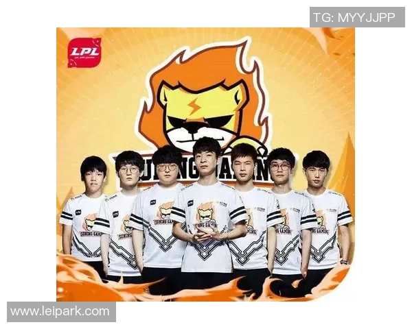 RNG在Major赛中的快速表现分析与战术解读 RNG在Major赛中的快速表现分析与战术解读